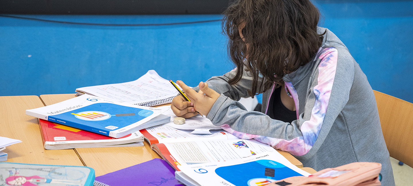 Una escolar rodeada de libros de texto y de apuntes