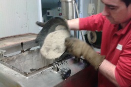 Incorporacion_filler