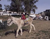 Cordoba. Marques de Cabriñana