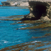 Zona de la Isla de Alborán (Foto: EFE).