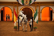 Exhibición 'Cómo bailan los caballos andaluces'
