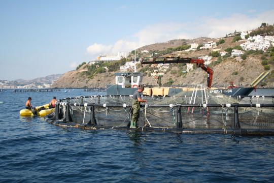 Imagen de archivo de acuicultura marina