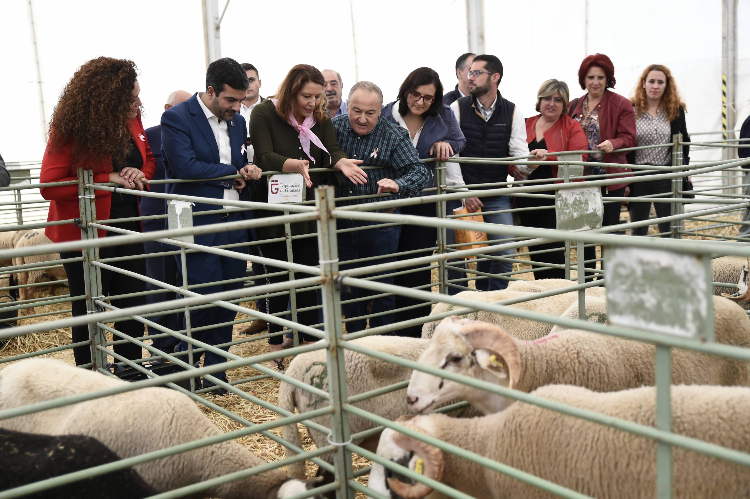 La consejera durante una visita a una feria ganadera