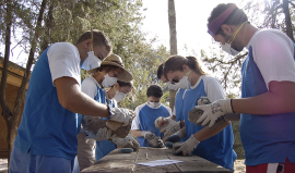 Jóvenes de prácticas