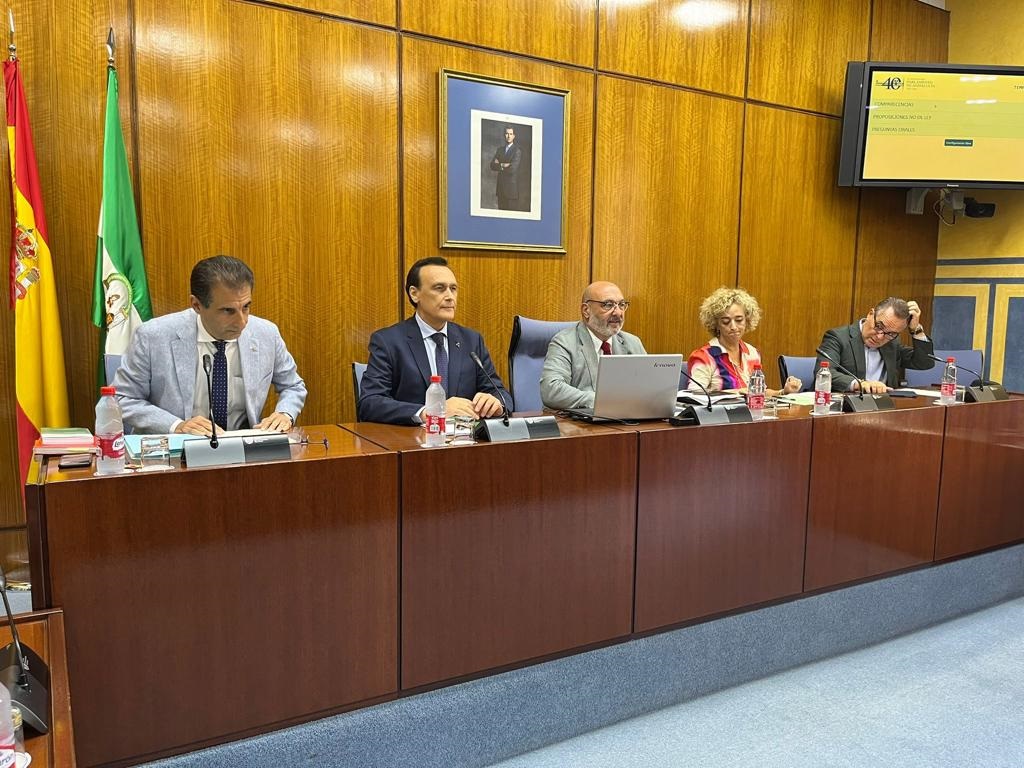 Gómez Villamandos durante su intervención en Comisión parlamentaria