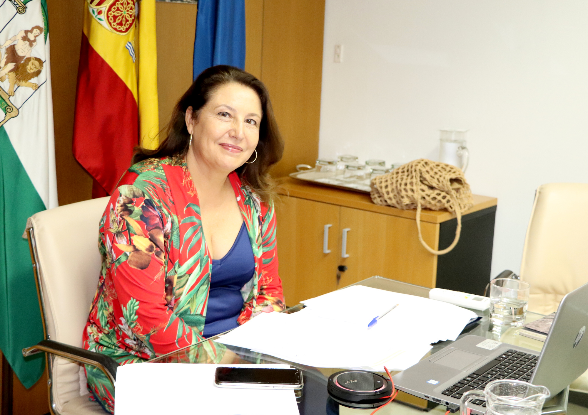 La consejera se conecta vía on line al Consejo Consultivo.