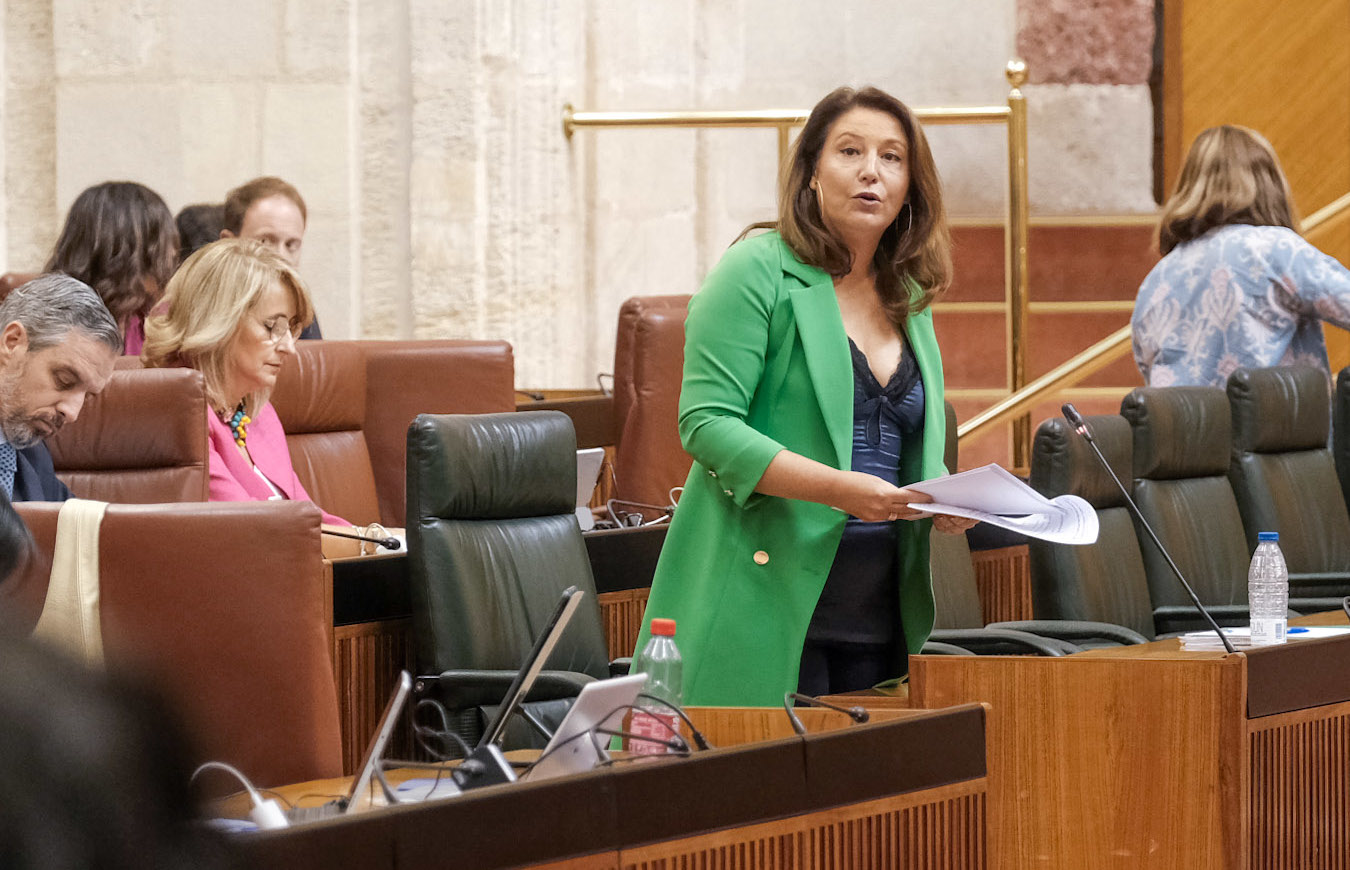 Carmen Crespo durante su intervención en el pleno del Parlamento de Andalucía