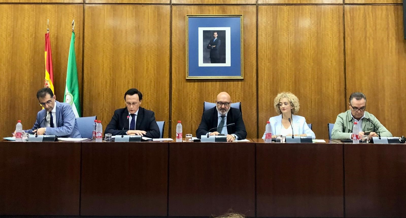 Gómez Villamandos durante su intervención en Comisión parlamentaria