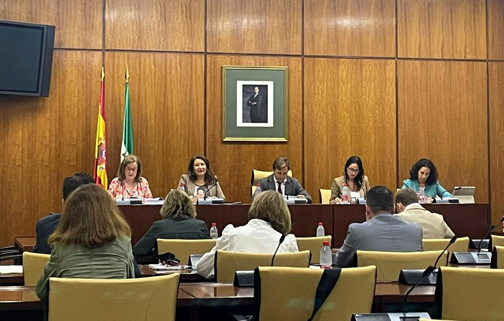 Carmen Crespo durante la comisión parlamentaria 