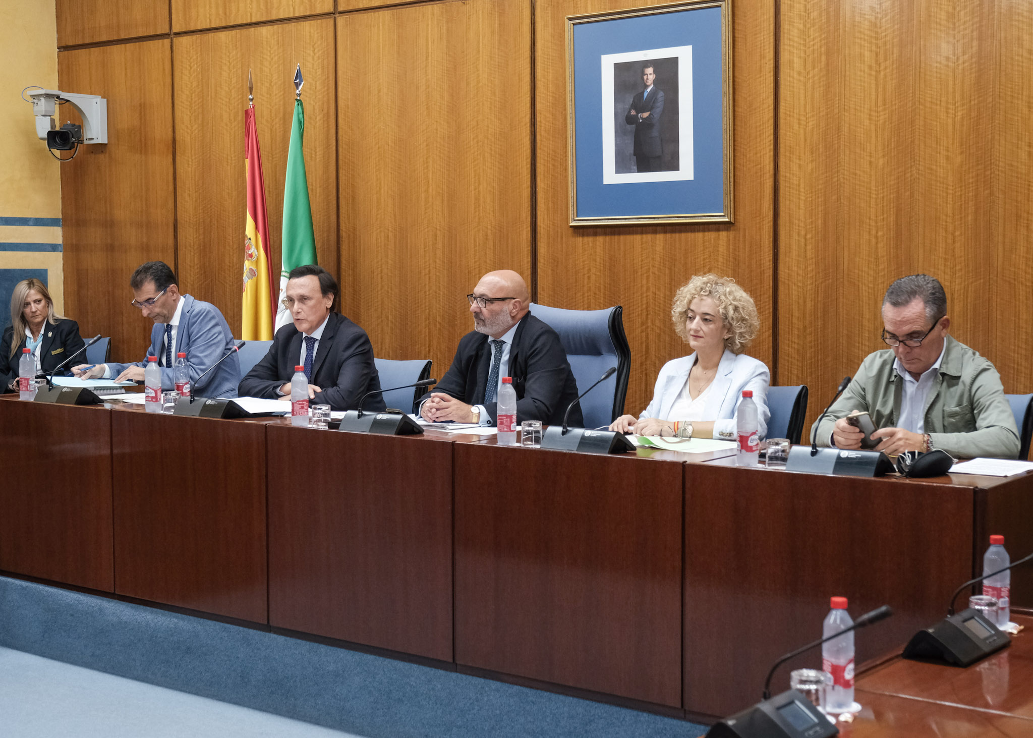 Gómez Villamandos, durante su intervención