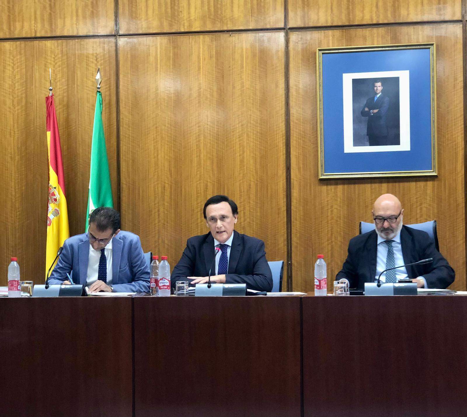 Gómez Villamandos, durante la comparecencia en el Parlamento andaluz