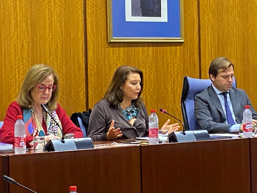 Carmen Crespo durante su intervención en la comisión parlamentaria