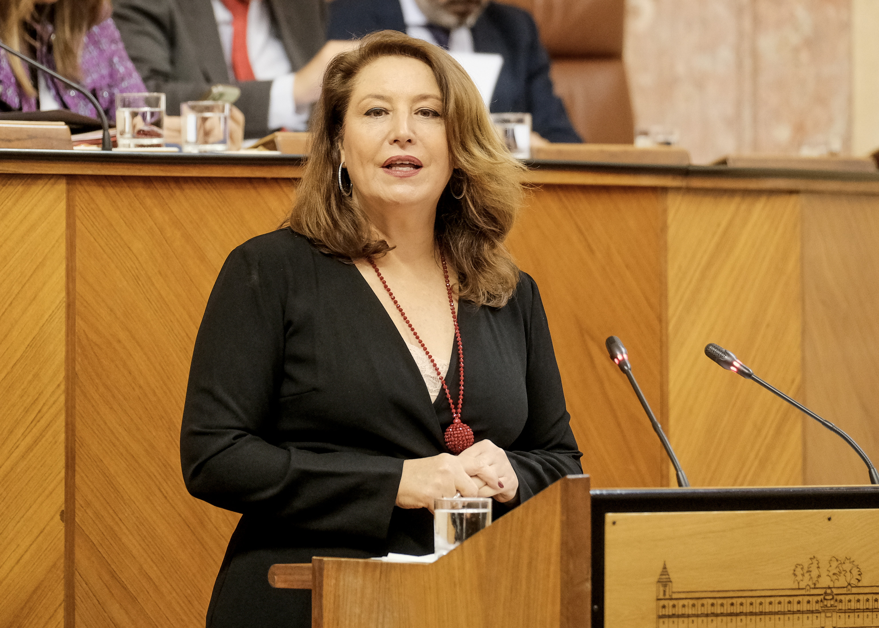 Carmen Crespo durante su intervención en el debate de convalidación del Decreto-Ley de la 'Medida 22'
