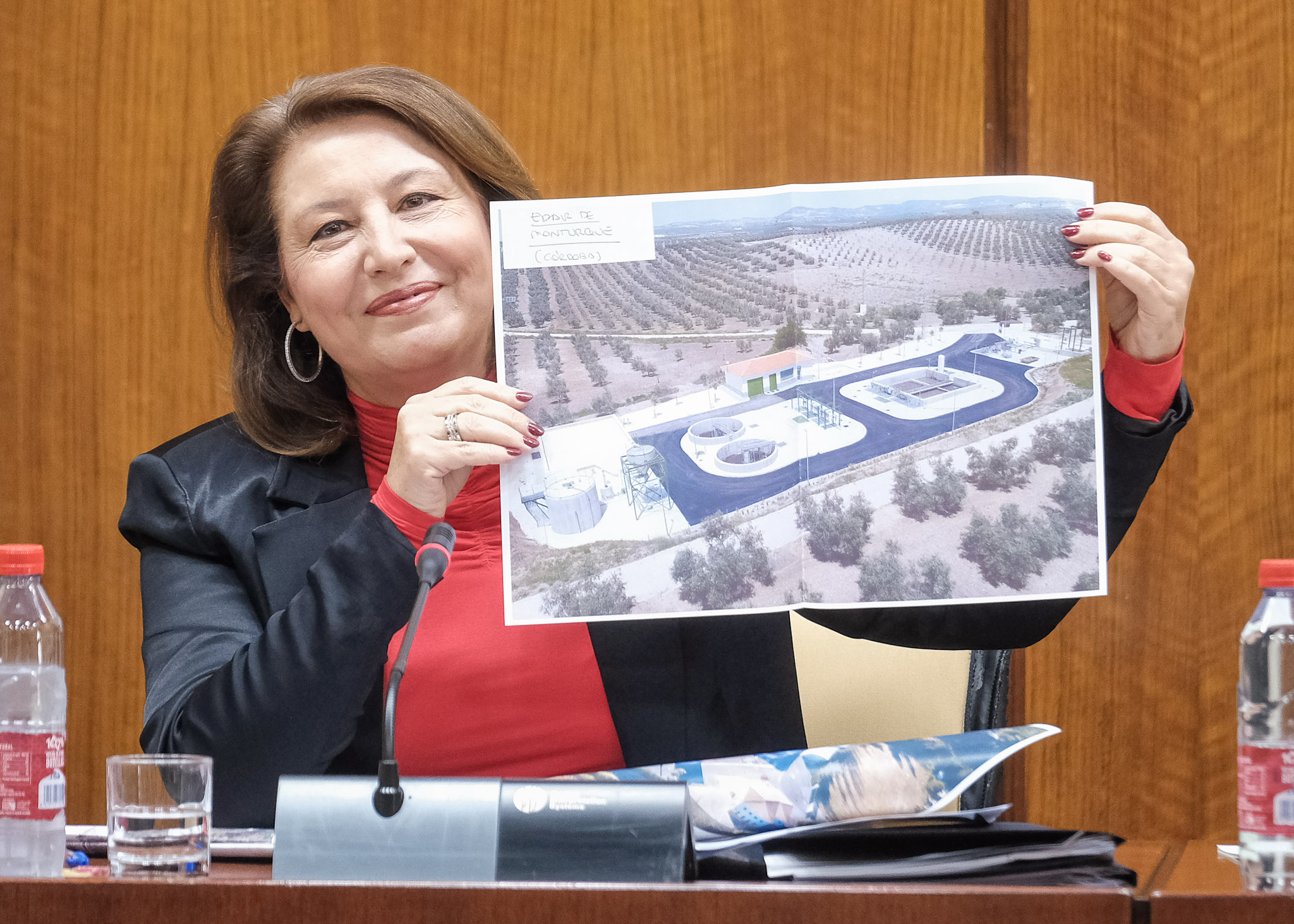 Carmen Crespo durante la comisión parlamentaria 