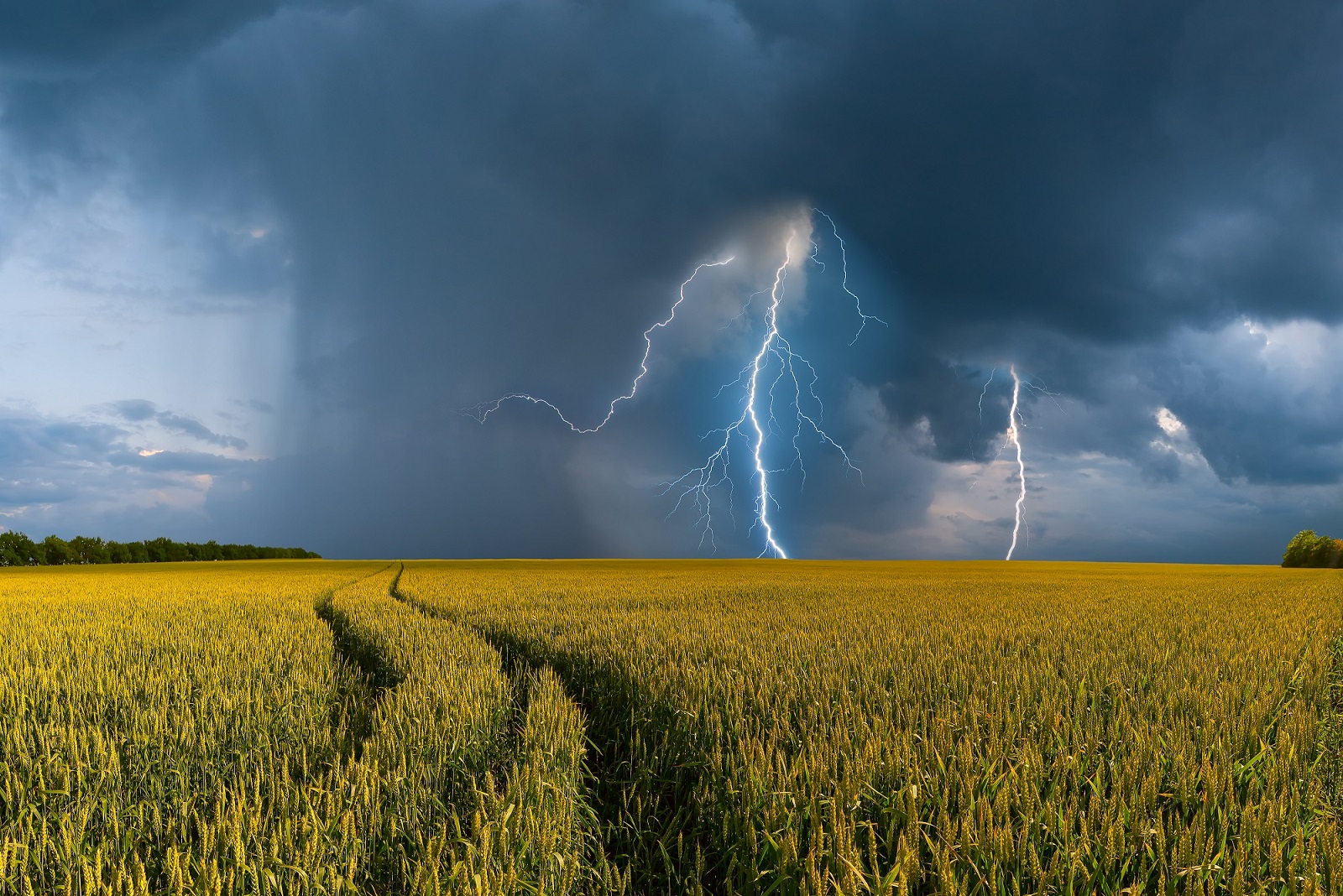 Imagen de archivo de adversidad climática en el campo