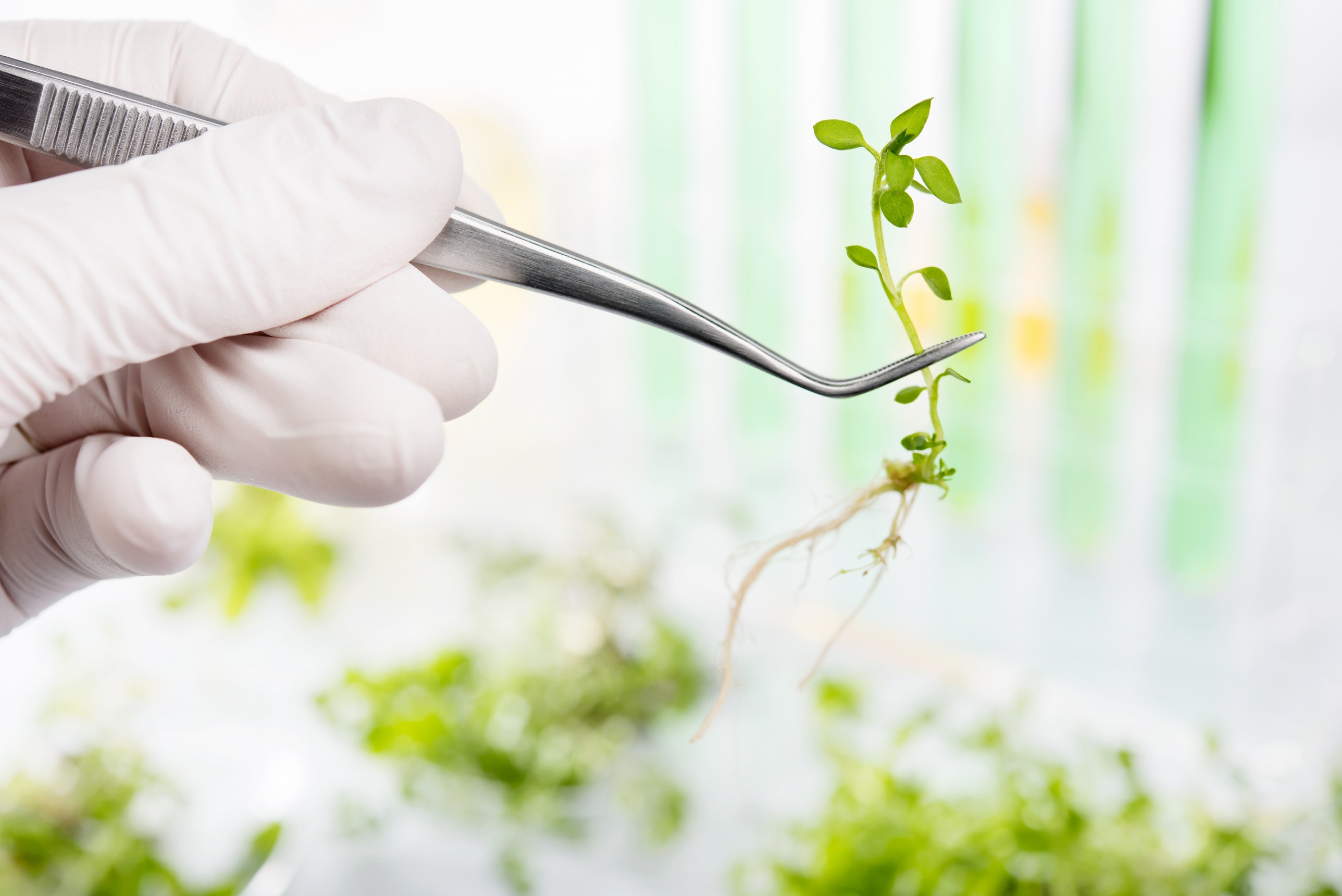 Nueva convocatoria de ayudas dirigidas al funcionamiento de los Grupos Operativos de la Asociación Europea de Innovación