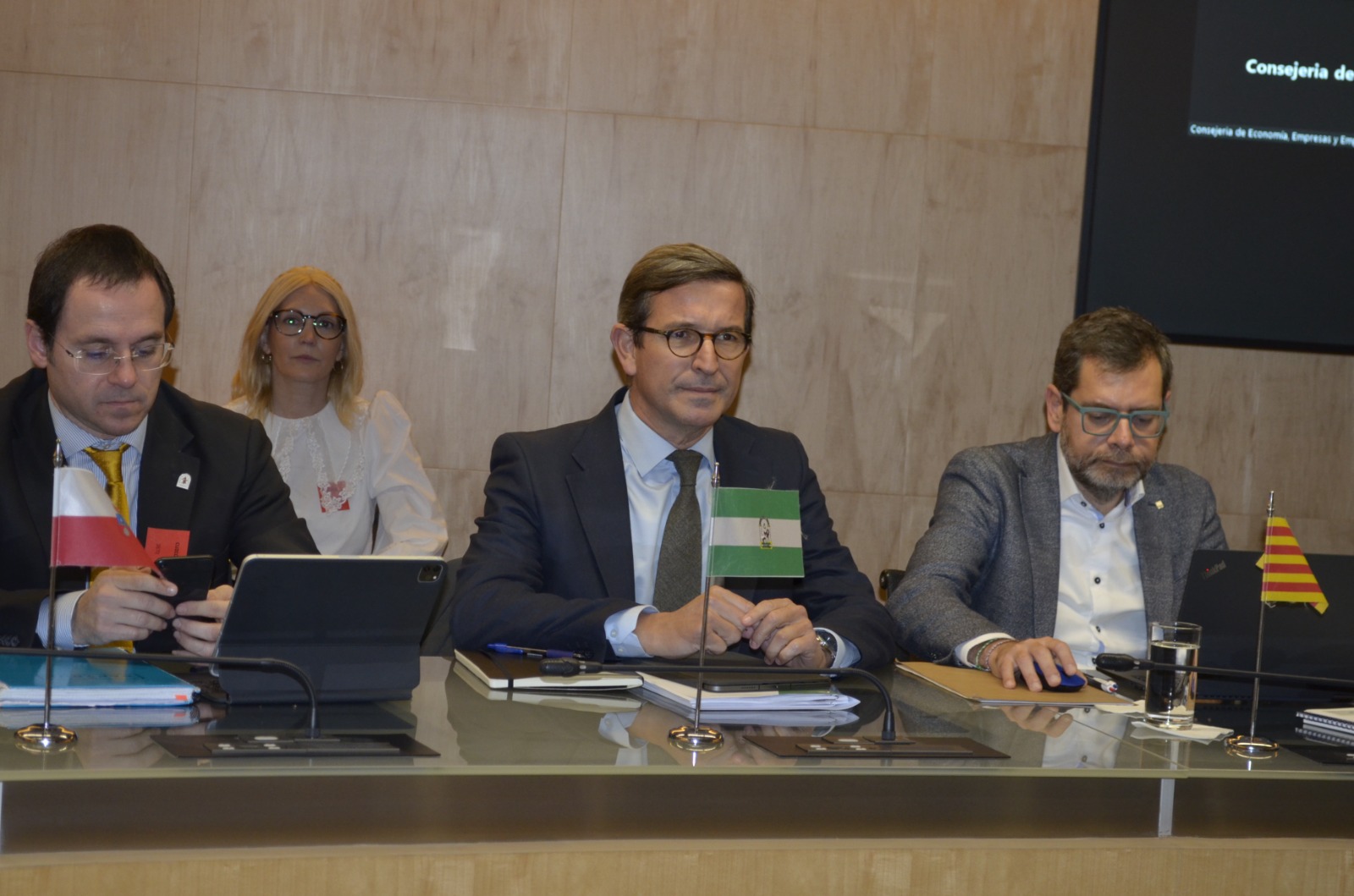 El consejero de Política Industrial y Energía, Jorge Paradela, en la Conferencia Sectorial de Energía.