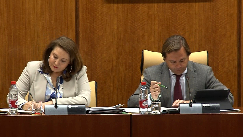 Carmen Crespo en la Comisión de Agricultura del Parlamento de Andalucía