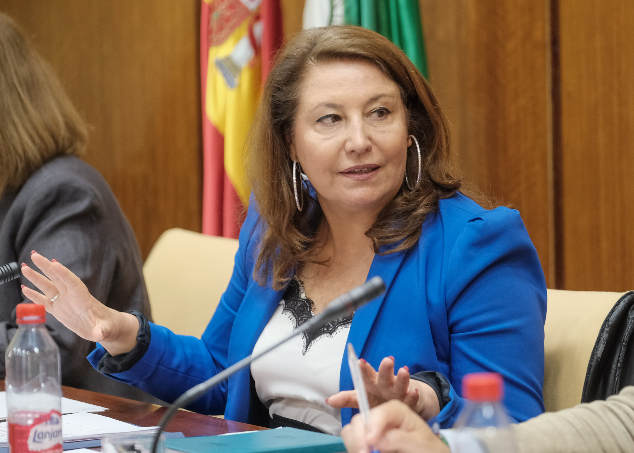 La consejera Carmen Crespo en la Comisión de la CAPADR en el Parlamento de Andalucía