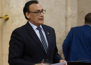 Gómez Villamandos Pleno del Parlamento