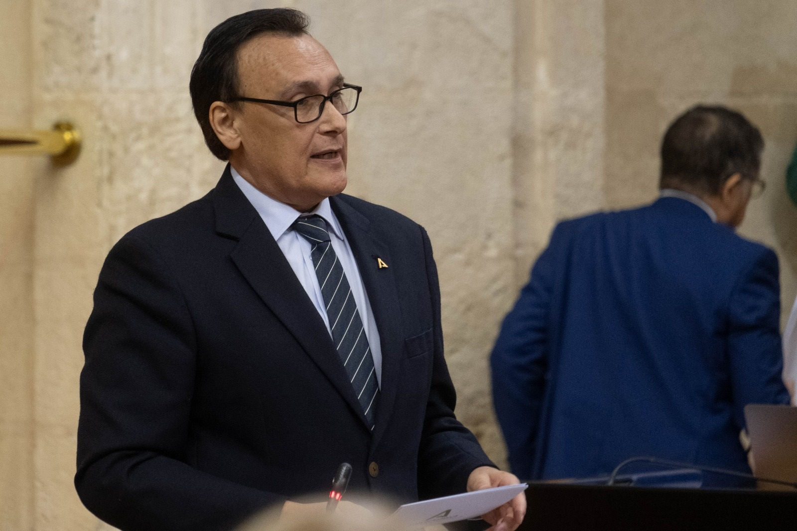 Gómez Villamandos Pleno del Parlamento