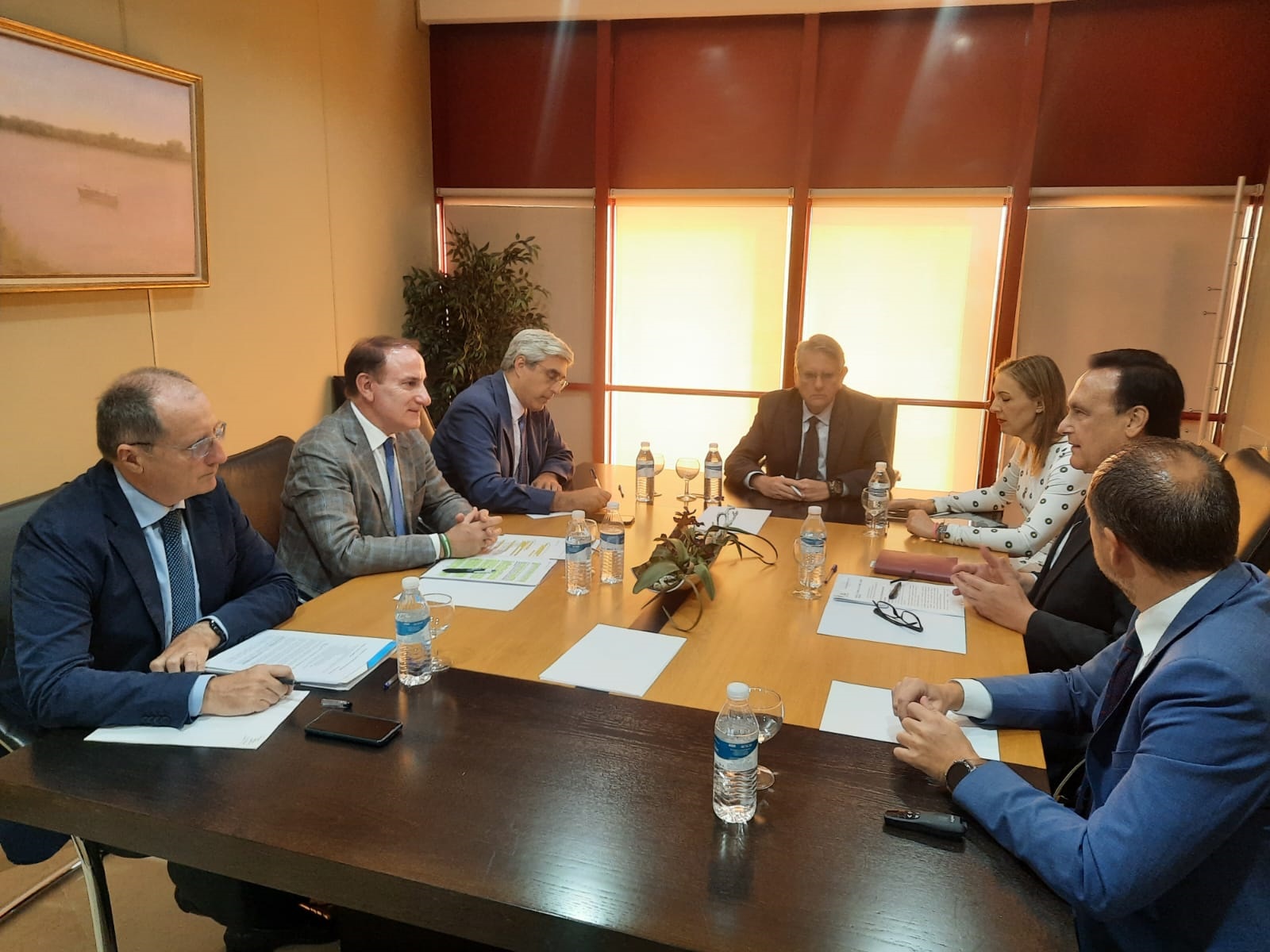 Gómez Villamandos reunión con presidente de la CEA