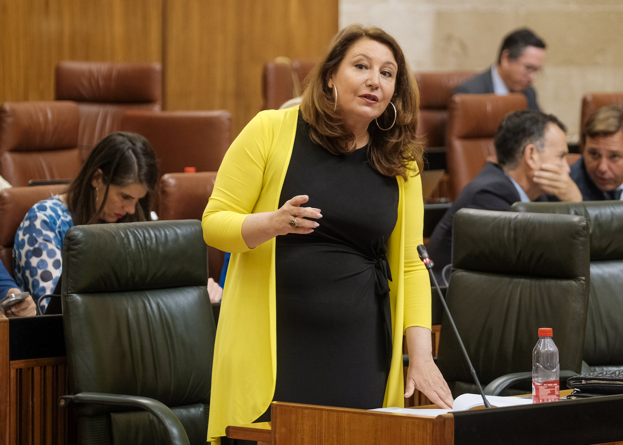 La consejera Carmen Crespo en el Parlamento Andaluz