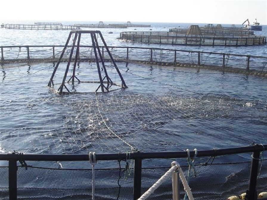 Imagen de archivo de acuicultura