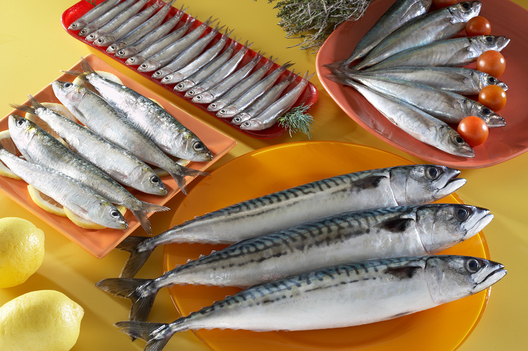 Imagen de archivo de productos pesqueros