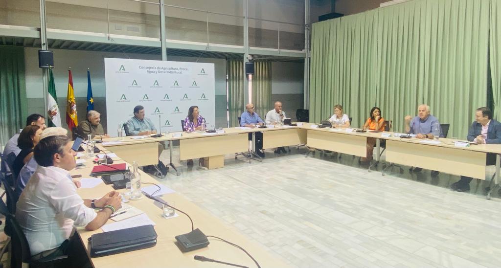 Instrumento financiero