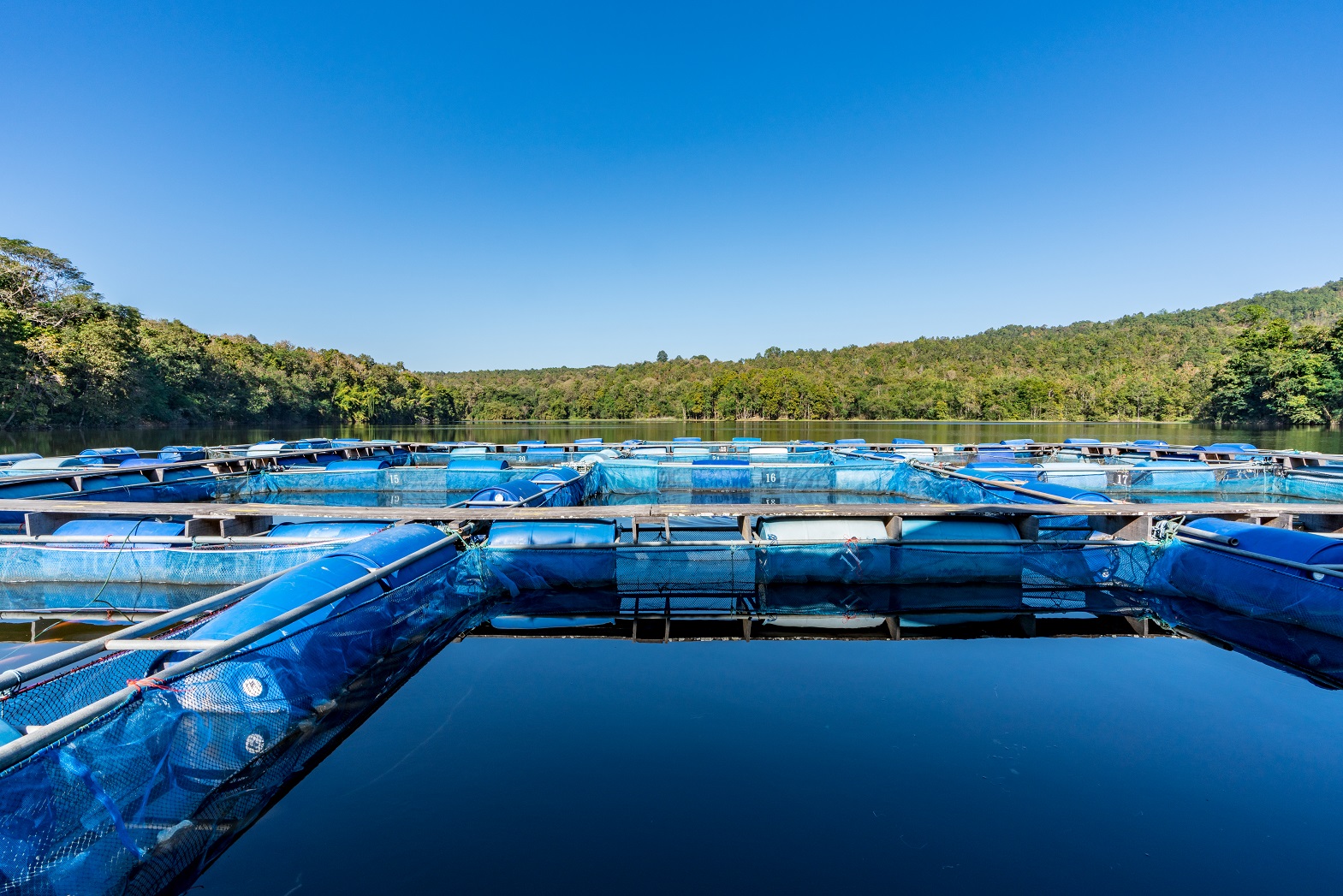 Imagen de archivo de acuicultura