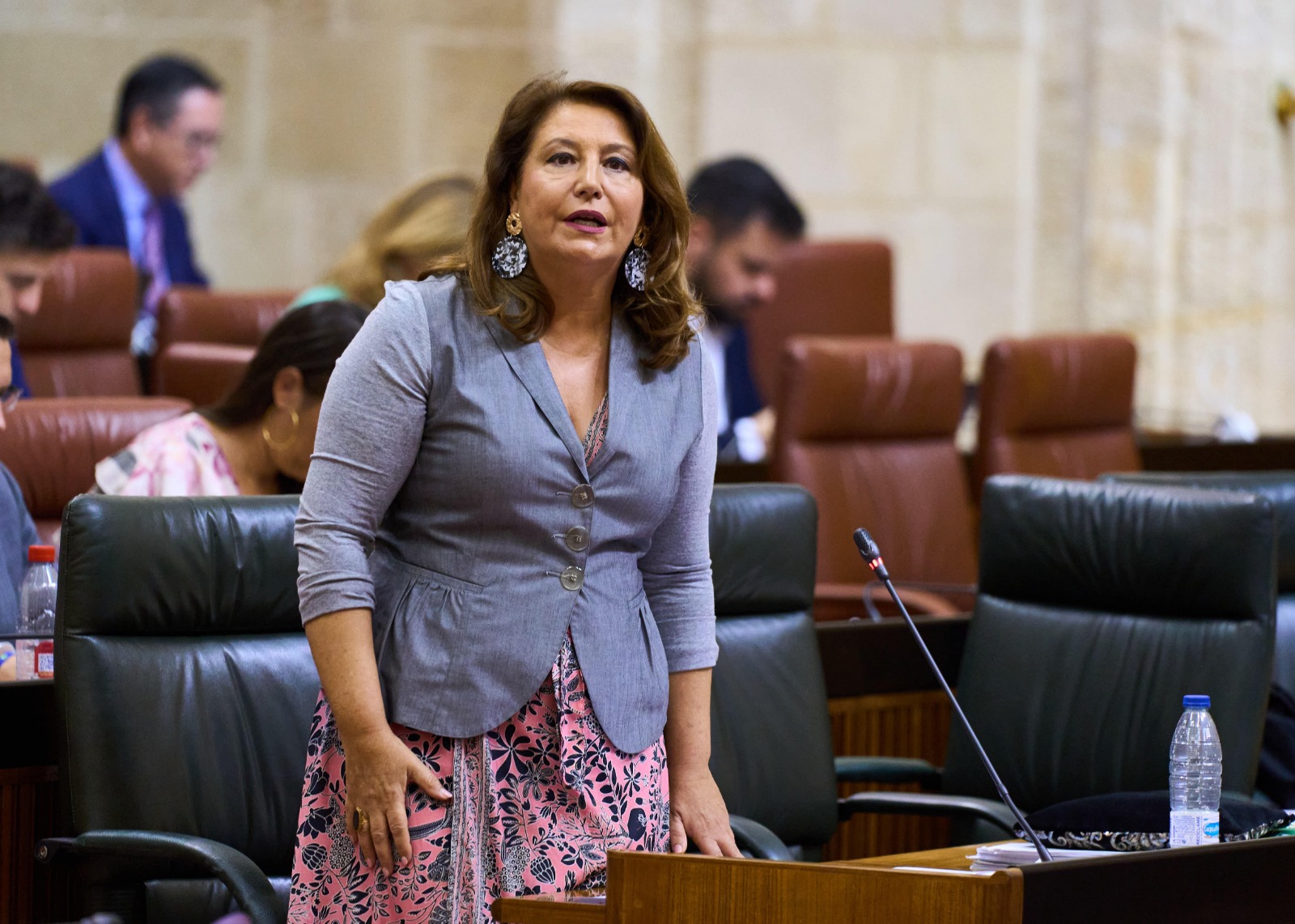 La consejera Carmen Crespo en el Parlamento.