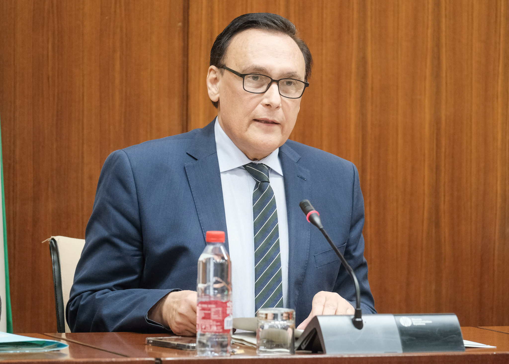 Villamandos en Comisión Parlamentaria