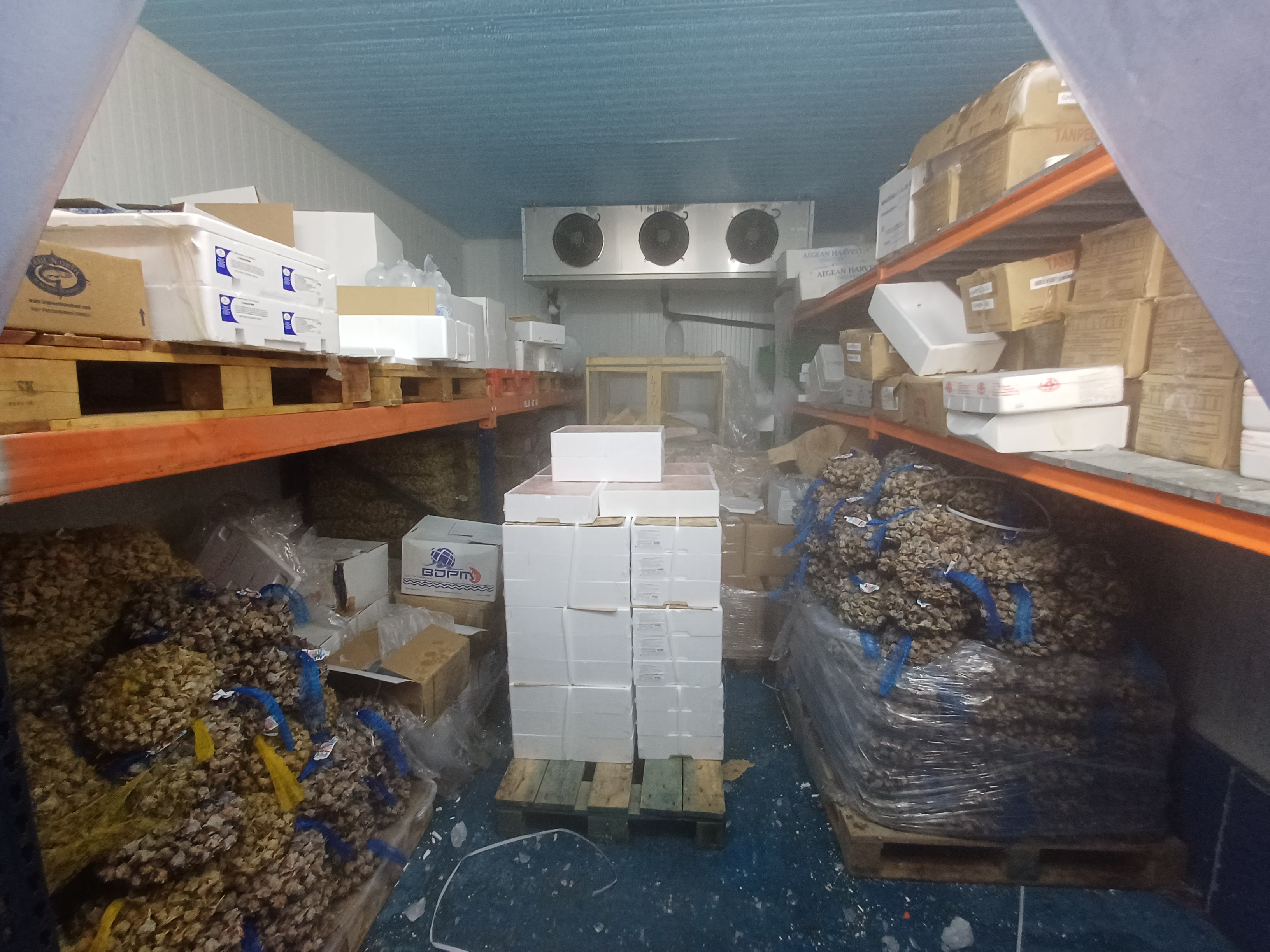 Productos pesqueros ilegales que Inspección Pesquera de la Junta de Andalucía ha impedido que se pongan en el mercado