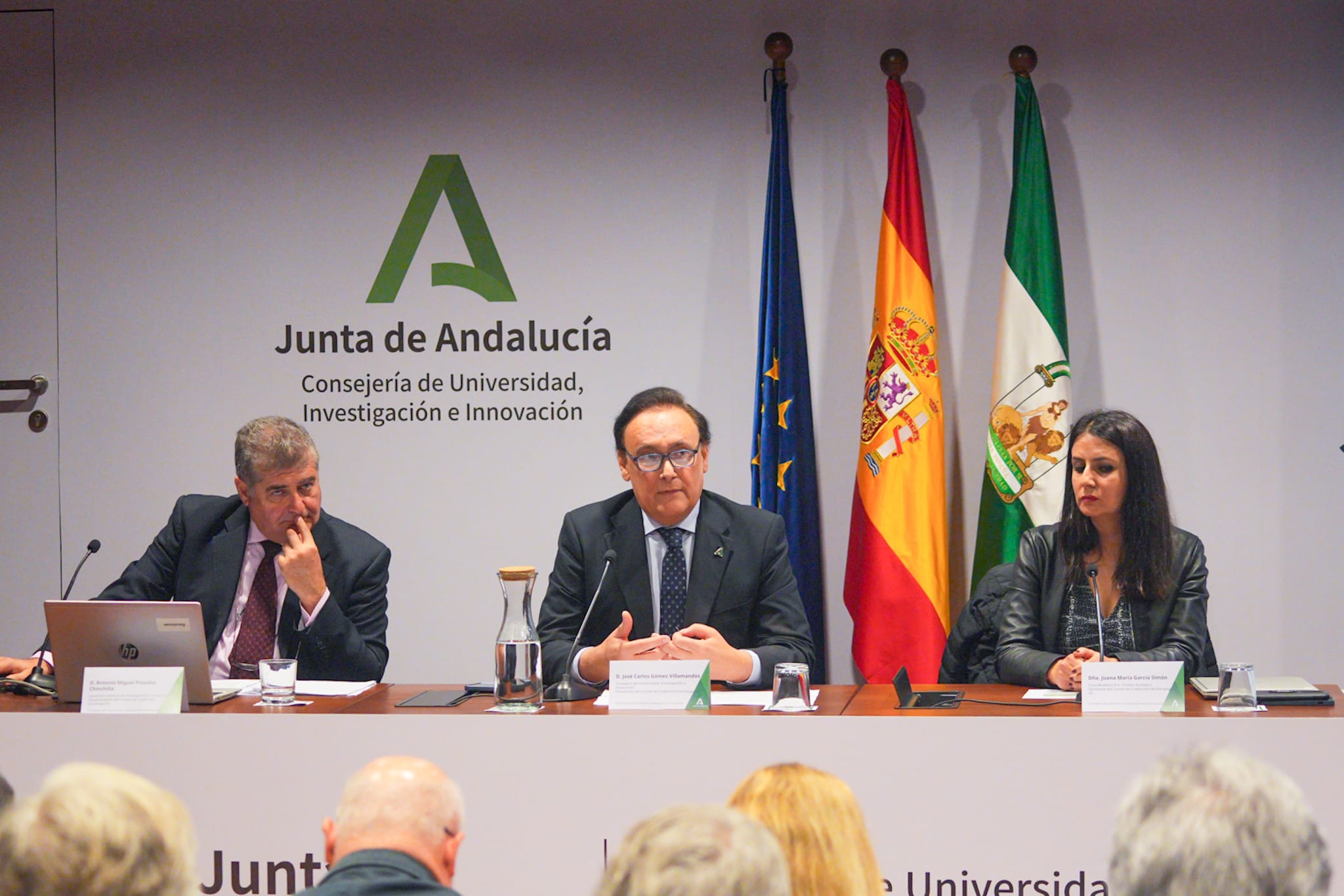 Villamandos durante la reunión del Comité de Codecisión de la S4-Andalucía