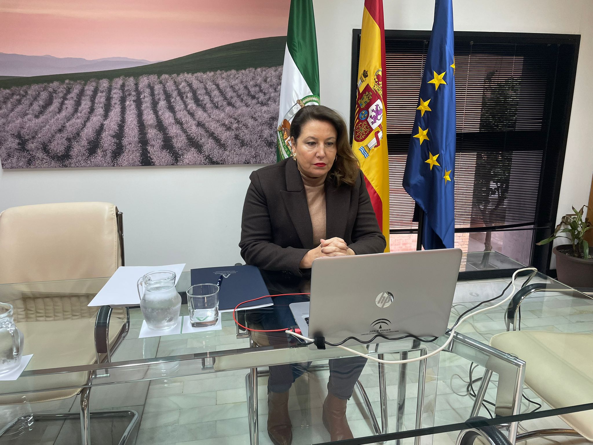 La consejera de Agricultura, Carmen Crespo, asistiendo online a la reunión del Consejo Consultivo.