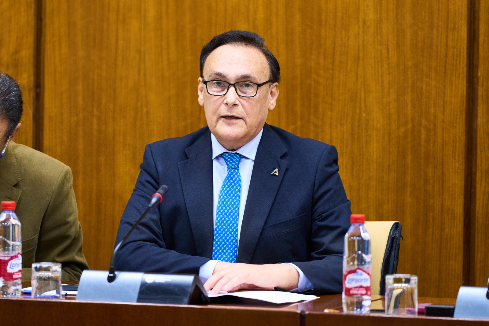 Villamandos en Comisión Parlamentaria