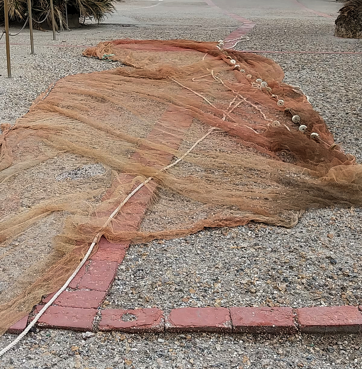 Artes de pesca ilegales incautadas