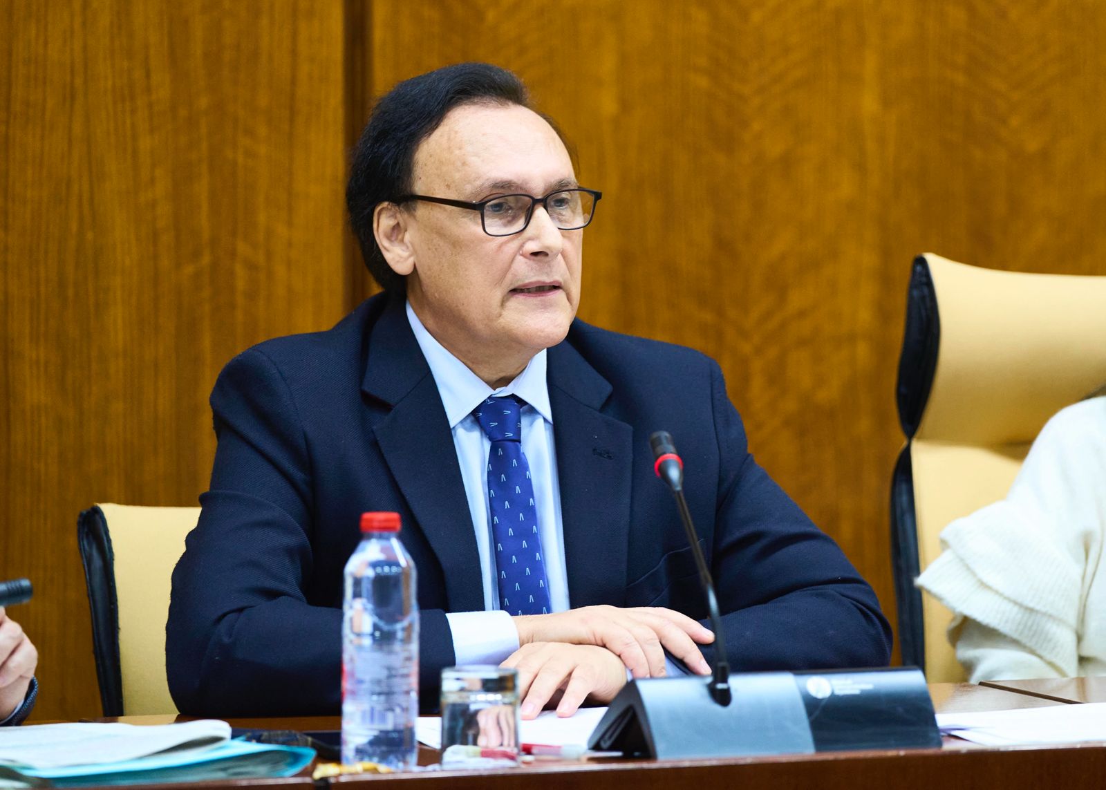 Villamandos en comisión parlamentaria