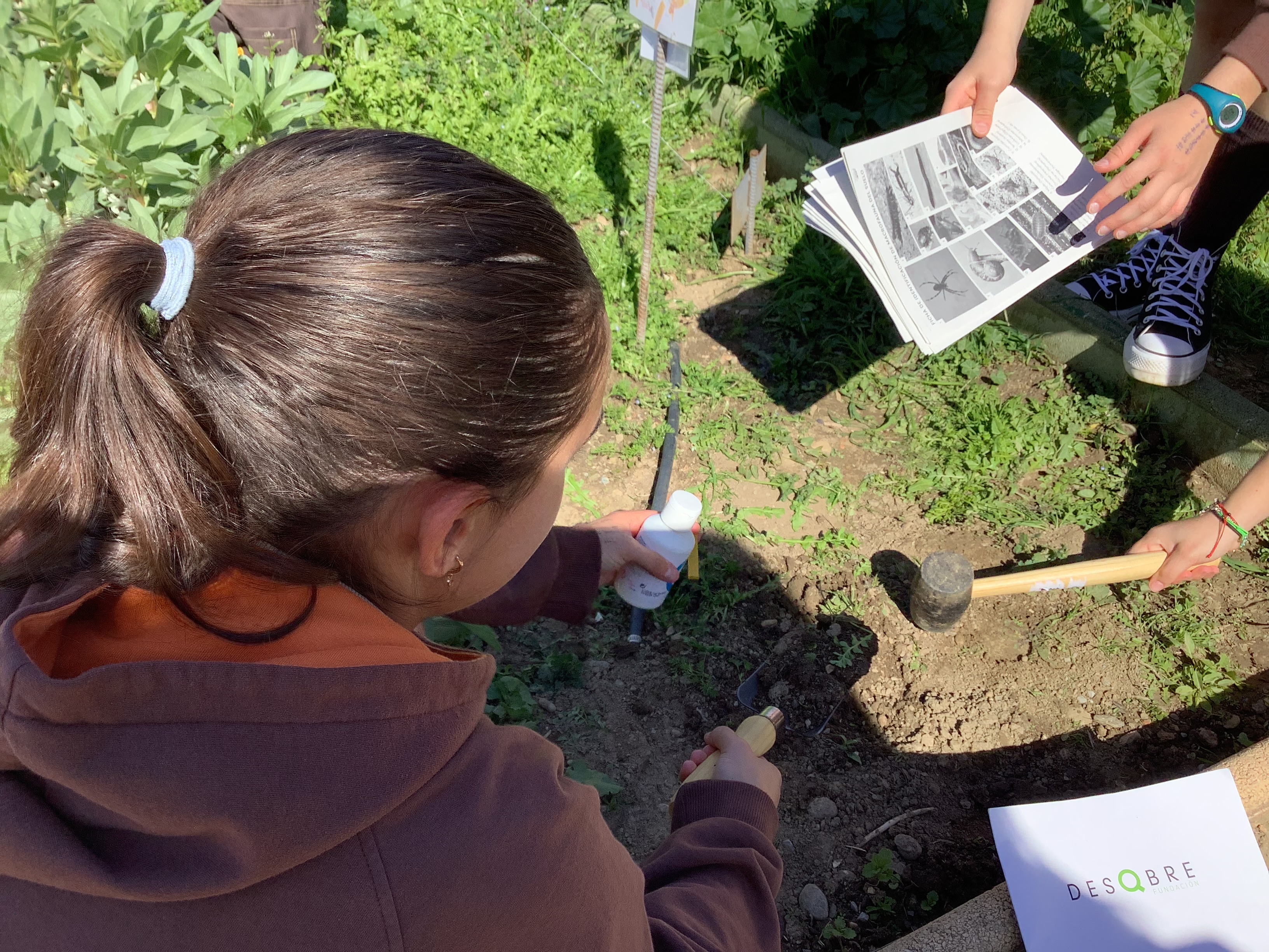 Participantes en el proyecto de ciencia ciudadana ‘Vigilantes del suelo’ 