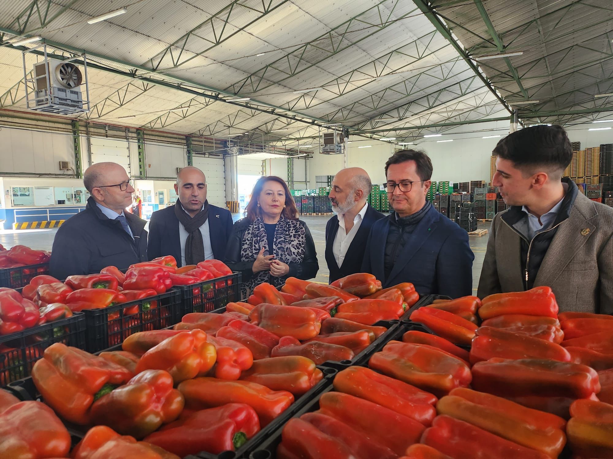 Carmen Crespo, consejera de Agricultura, visita una empresa hortofrutícola. 