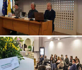 El director general de vivienda, Rehabilitación y Arquitectura, José Manuel Colmenero, ha invitado a la reflexión y al aprendizaje a través de las buenas prácticas, para avanzar hacia el objetivo de normativizar la rehabilitación sostenible sobre edificios con protección por su valor arquitectónico. Es el mensaje que Colmenero ha trasladado a los asistentes a la apertura del II Encuentro de la Comunidad de Prácticas del proyecto europeo VIOLET, celebrado en el Convento de Santa María de los Reyes, en Sevill