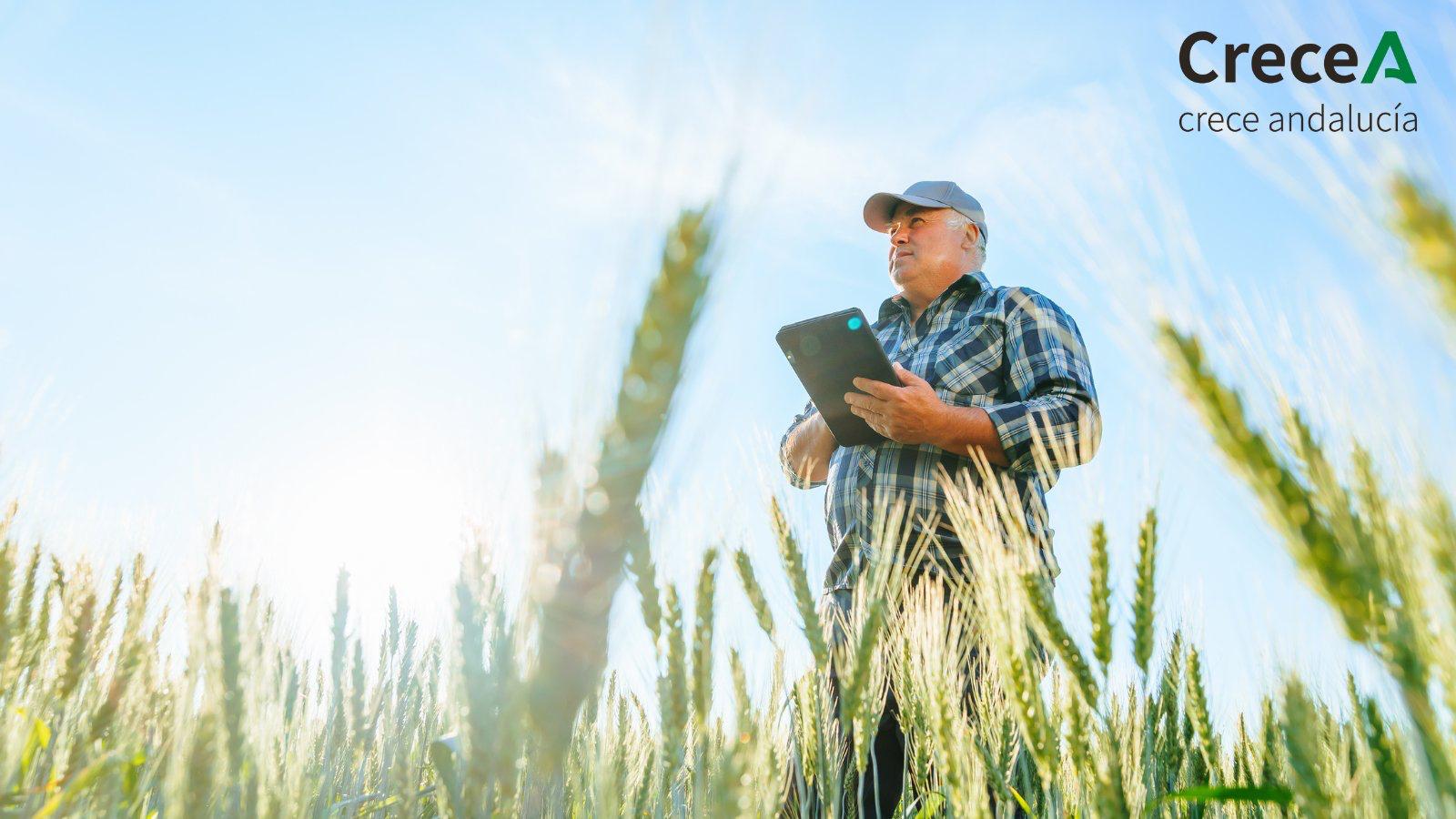 Digitalización en el campo andaluz