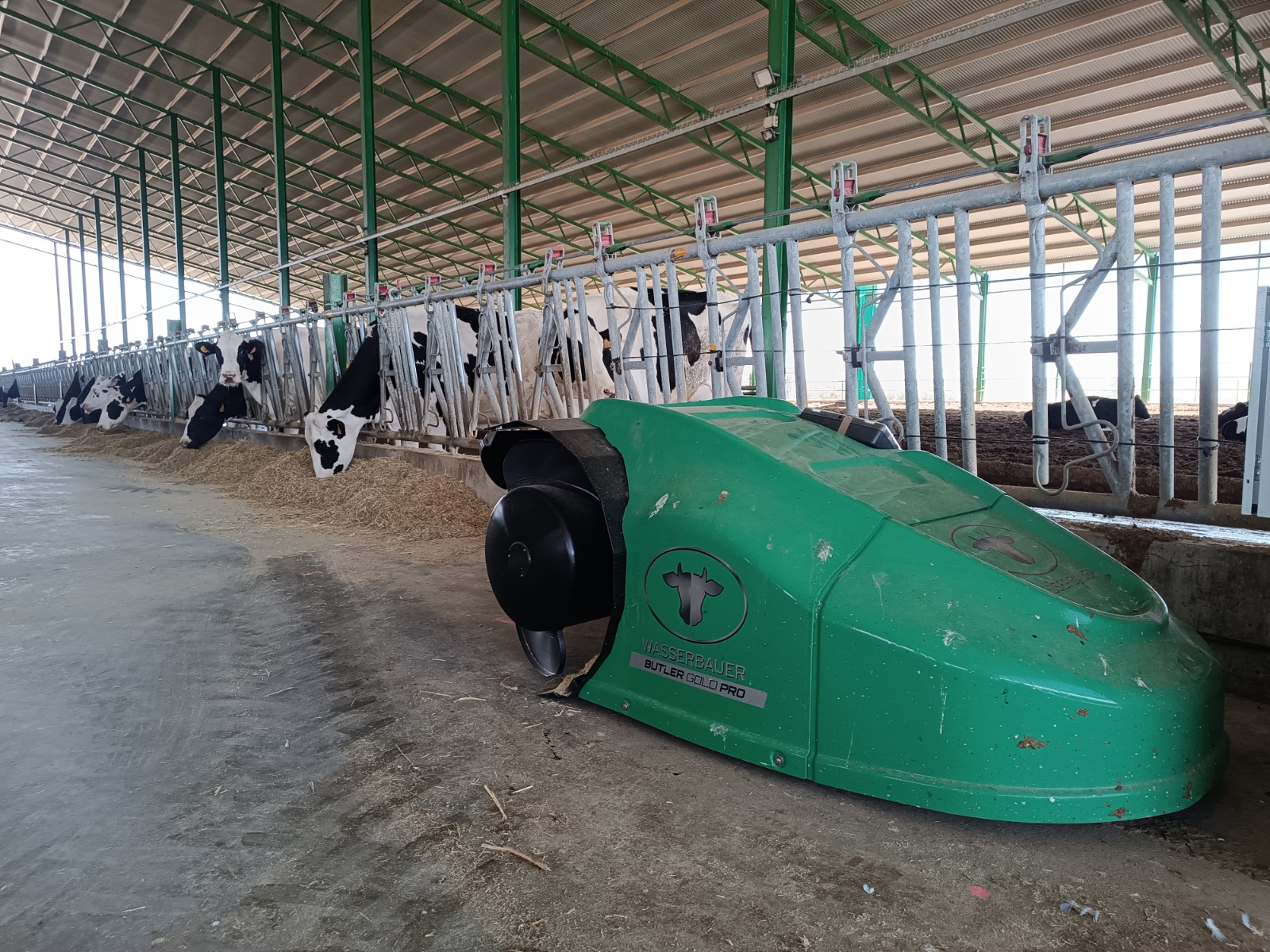 Aplicación de soluciones tecnológicas DEMOFAM en ganadería