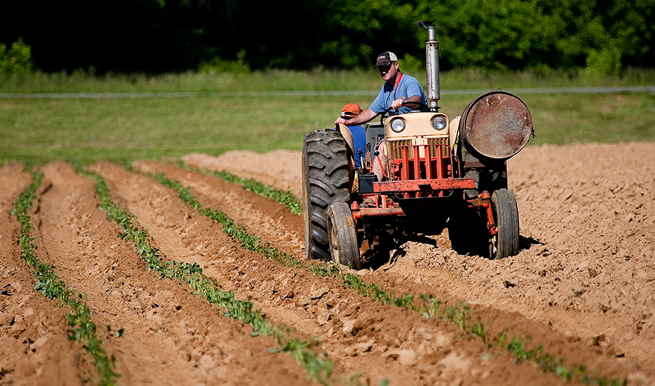 Un agricultor en su tractor.