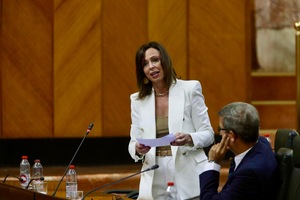 La Consejera, Rocío Díaz, en su comparecencia en el Parlamento 
