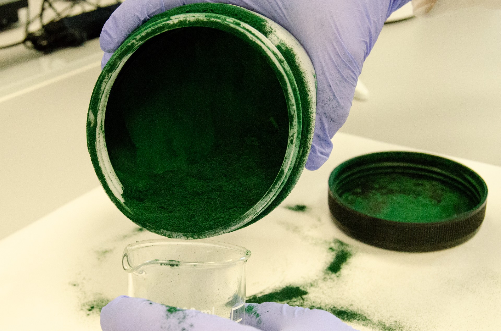 Biomasa extraída de la microalga