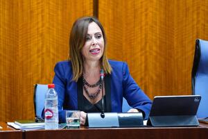 La consejera de Fomento durante su comparecencia parlamentaria.