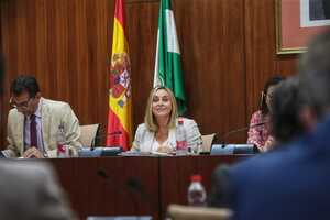 La consejera Marifrán Carazo en sede parlamentaria.