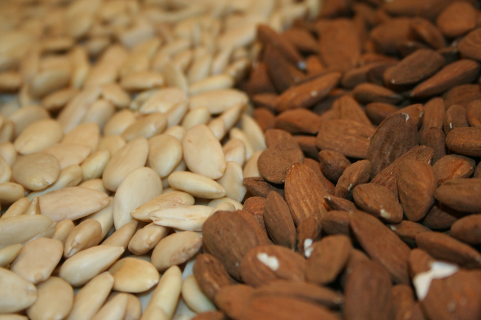 Imagen de archivo de almendras